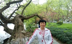 404款禁用软件大全